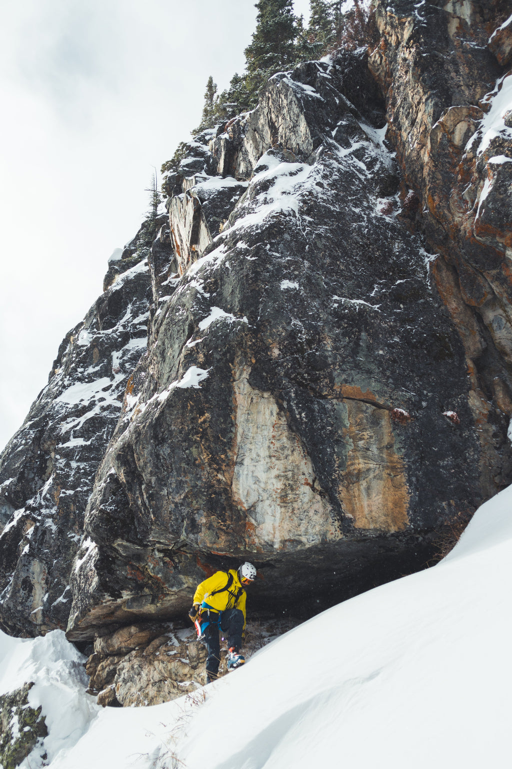 Team Wendy M-216 | w/ Princeton Tec Light & Superior Ventilation | Professional Ski Helmet
