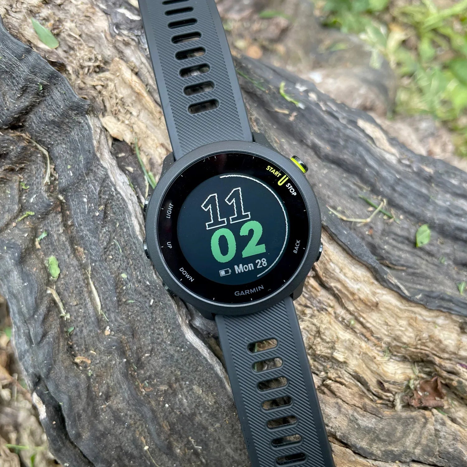 Garmin Forerunner 55 | Running Smartwatch w/ SOS Alert System